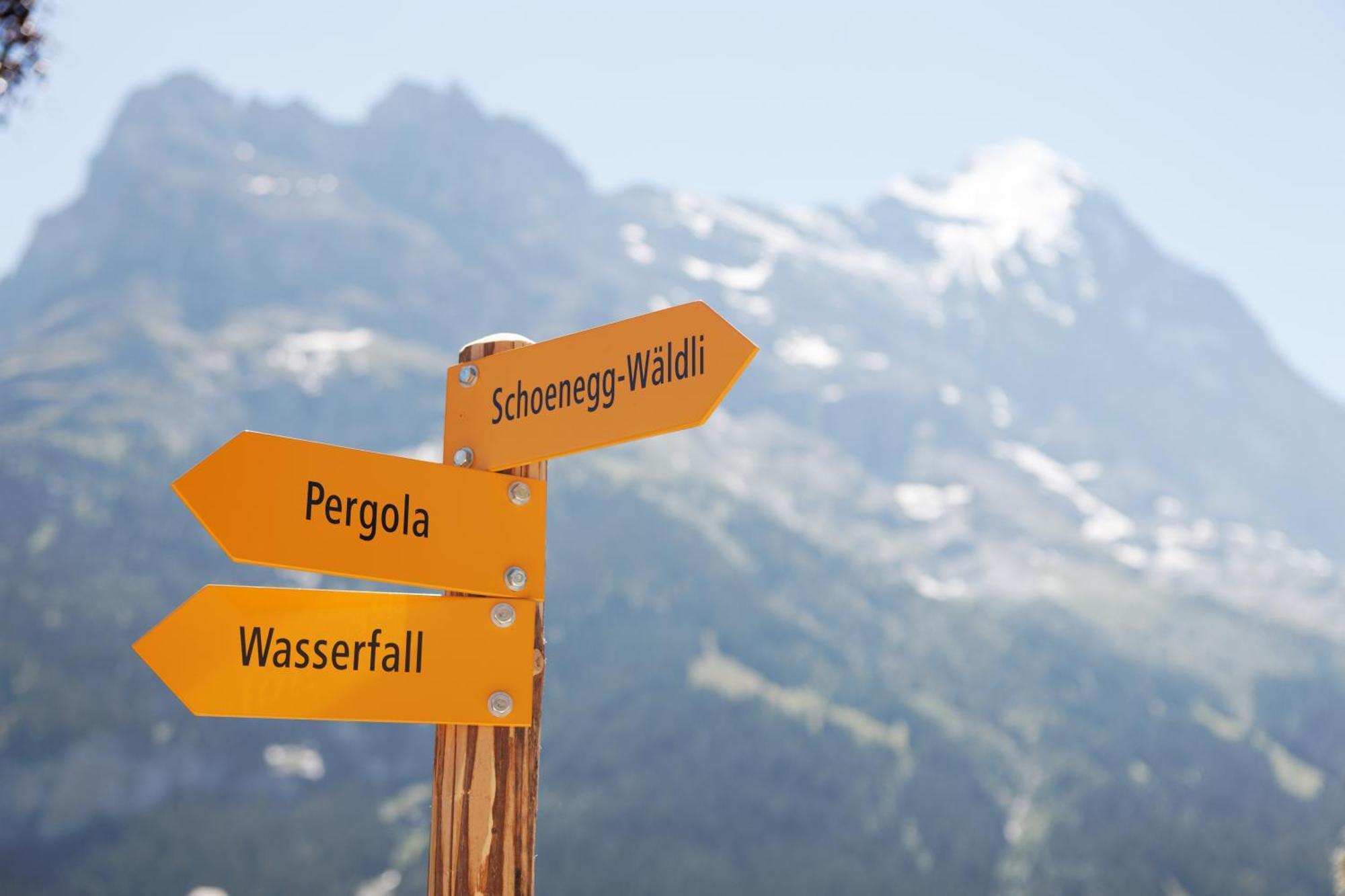 Parkhotel Schoenegg Grindelwald Bagian luar foto