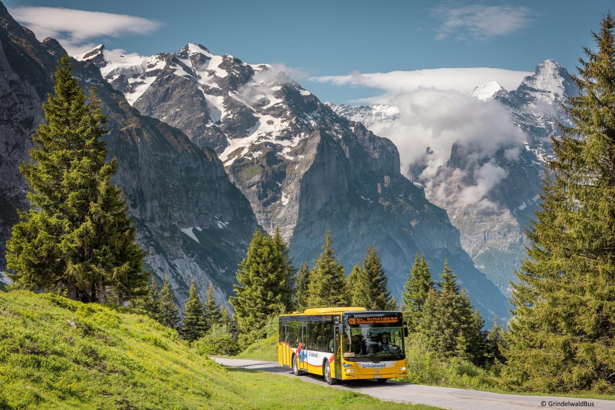 Parkhotel Schoenegg Grindelwald Bagian luar foto
